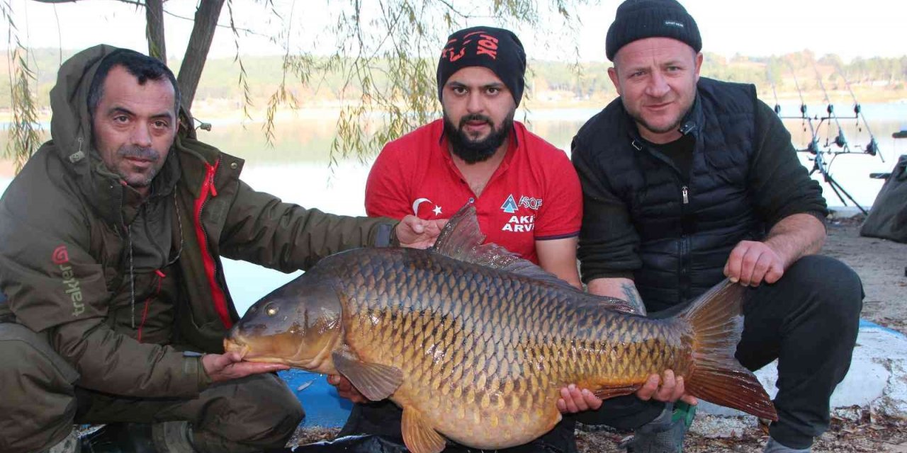 Türkiye’nin en büyük sazanı Bilecik’te yakalandı