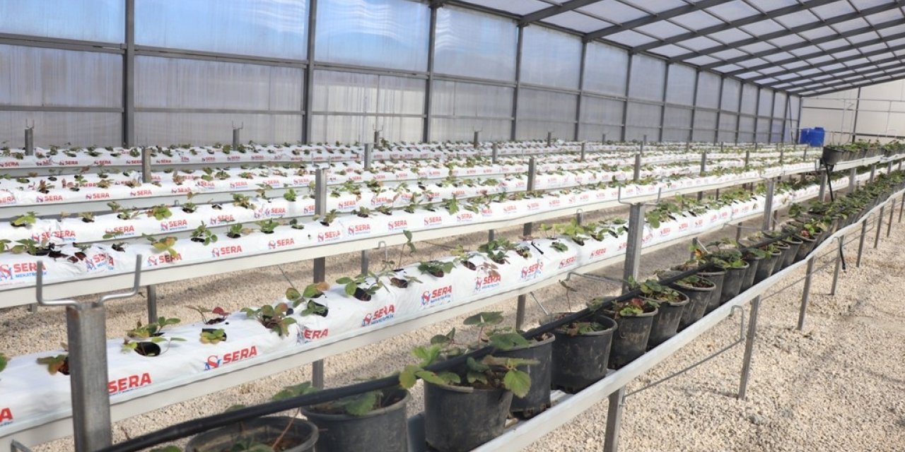 Katık atık tesisi ilk meyvelerini verdi