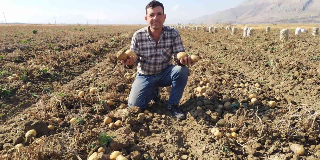 Yaylada patates hasadı sona erdi