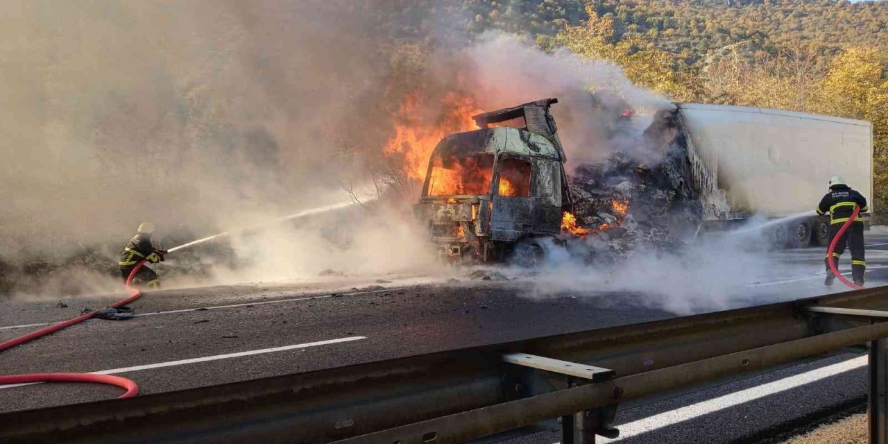 Bilecik’te kesilmiş tavuk yüklü tır cayır cayır yandı