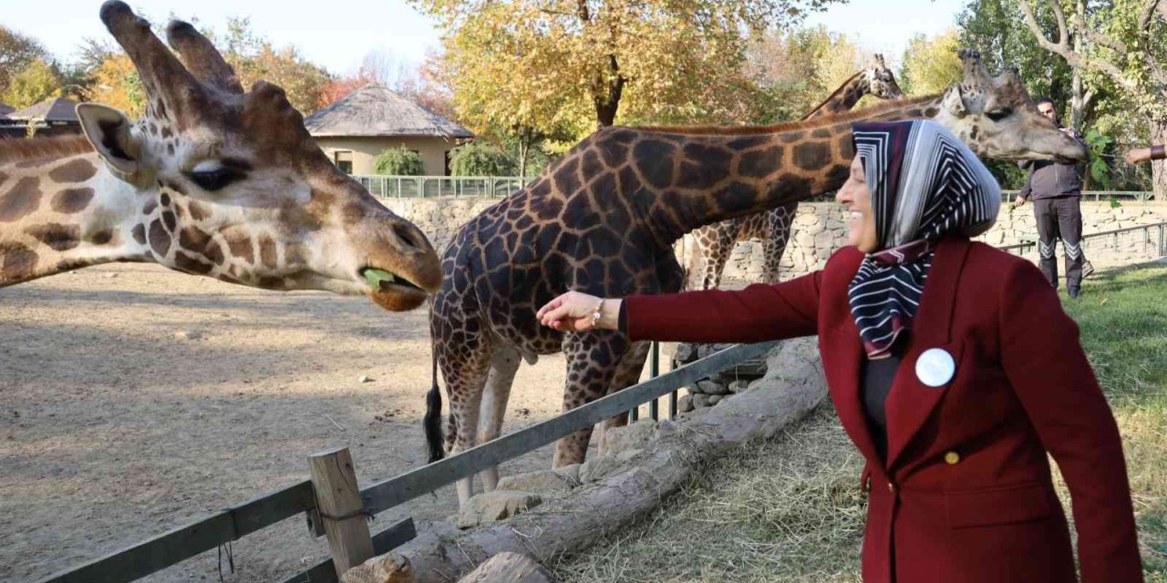 Bursa Hayvanat Bahçesi 24 yaşında