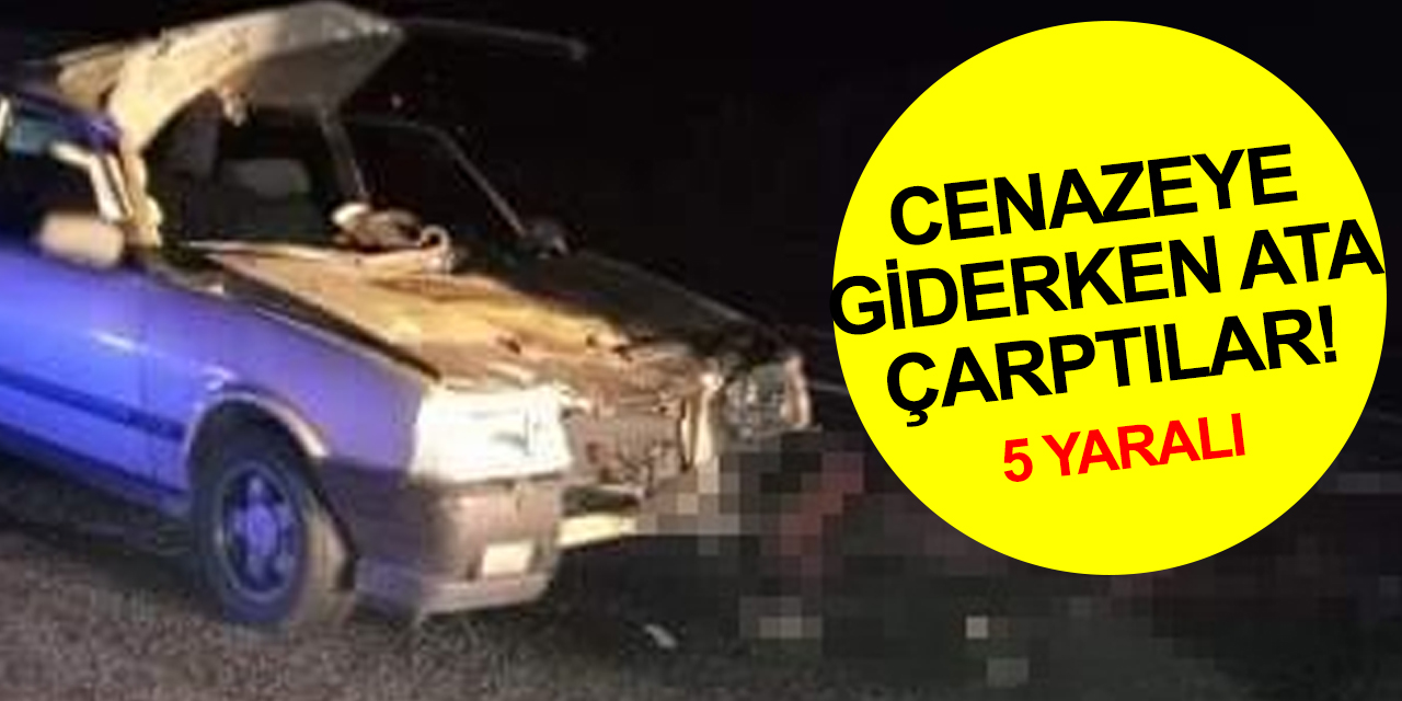 Sivas'ta cenazeye giderken ata çarpan araçta 1'i ağır 5 kişi yaralandı