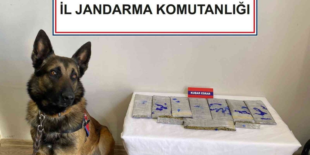 Çantasında uyuşturucuyla yakalanan yolcu tutuklandı