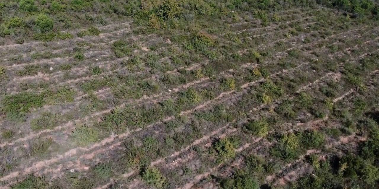 Pendik’te Aydos Ormanı’nda PKK’lı teröristin yaktığı ormanlık alanın son hali havadan görüntülendi
