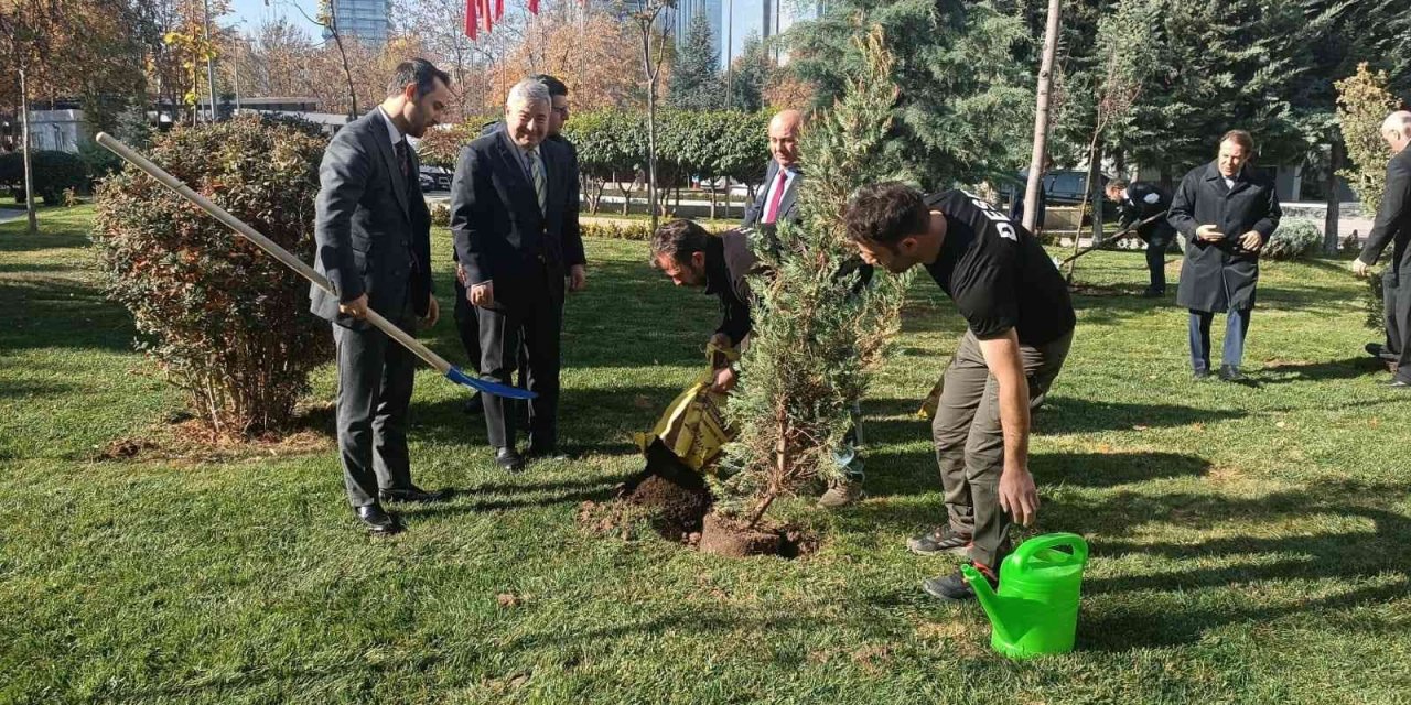 Dışişleri Bakanlığına 44 ağaç dikildi