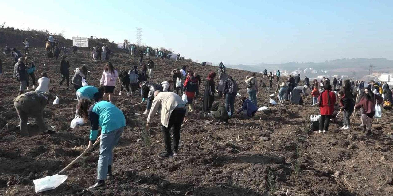 Bursa’da 50 bin fidan toprakla buluştu