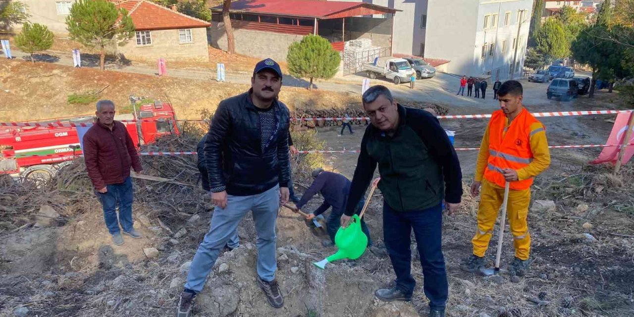 Fidanlar toprakla buluştu