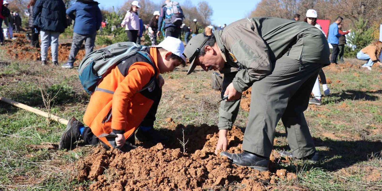 Bolu’da 43 bin 500 fidan toprakla buluştu