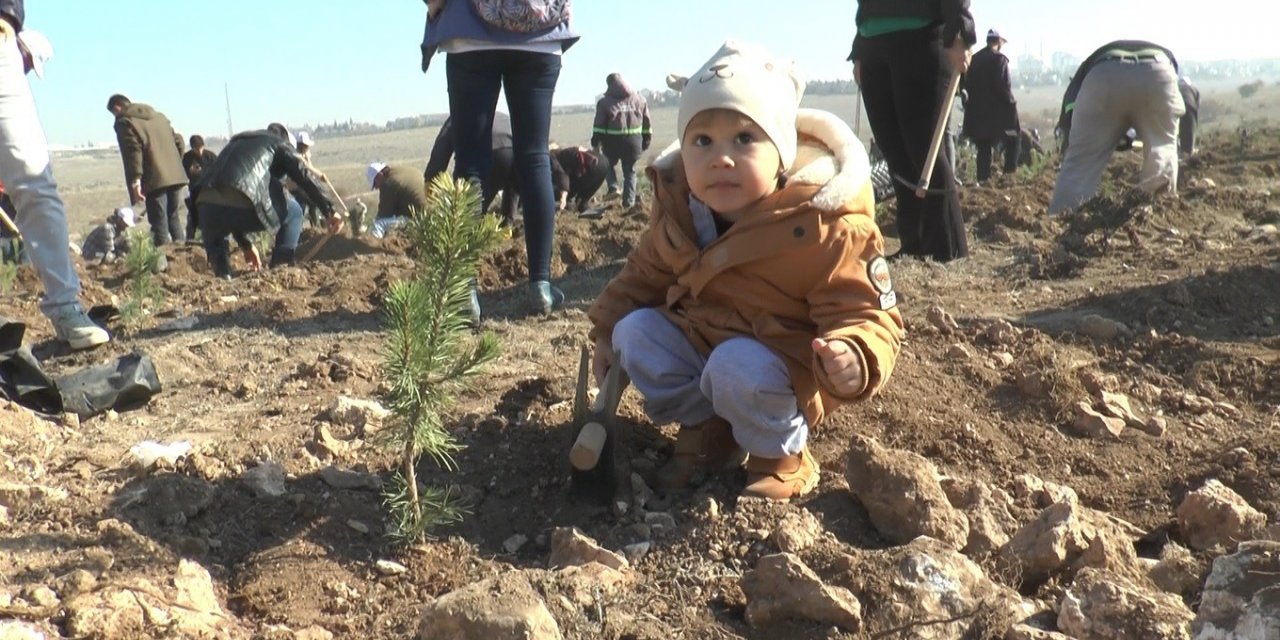 Eskişehir’de 49 bin fidan toprakla buluştu
