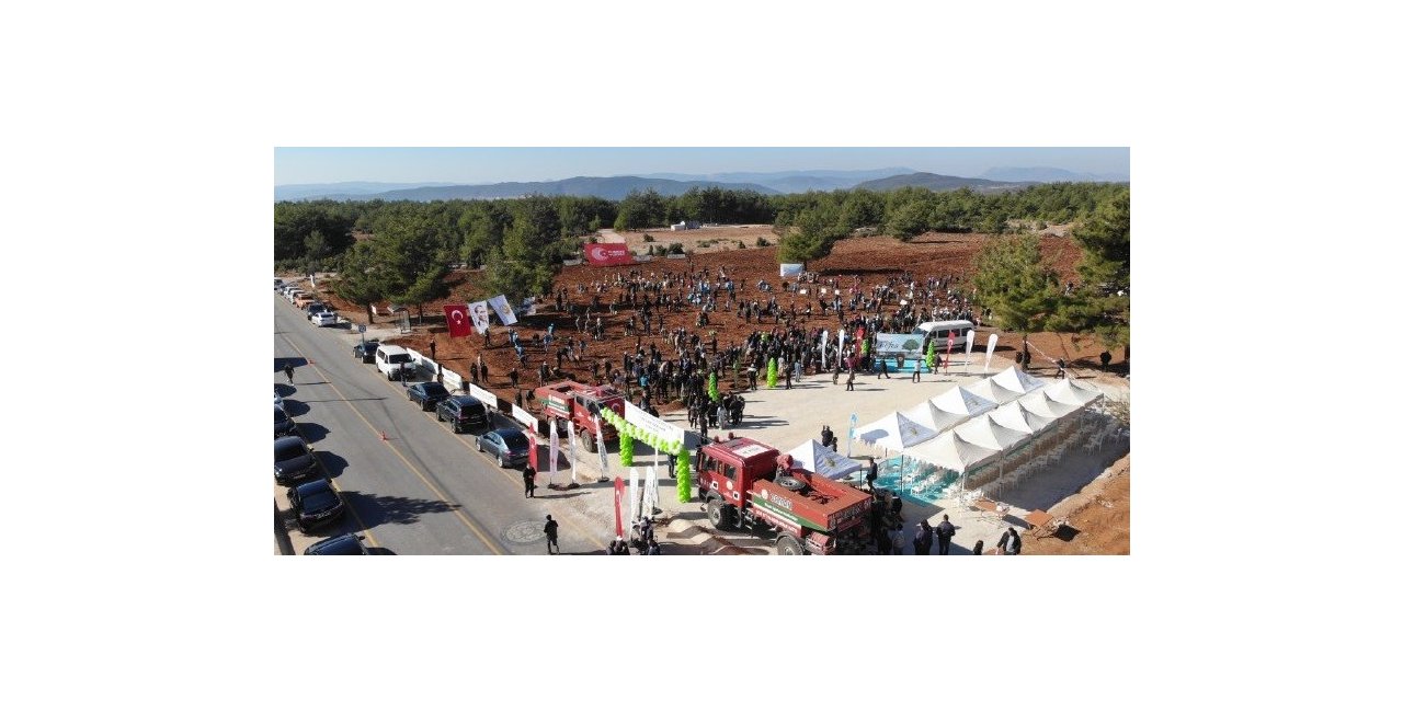 Muğla’da 253 bin fidan toprakla buluştu