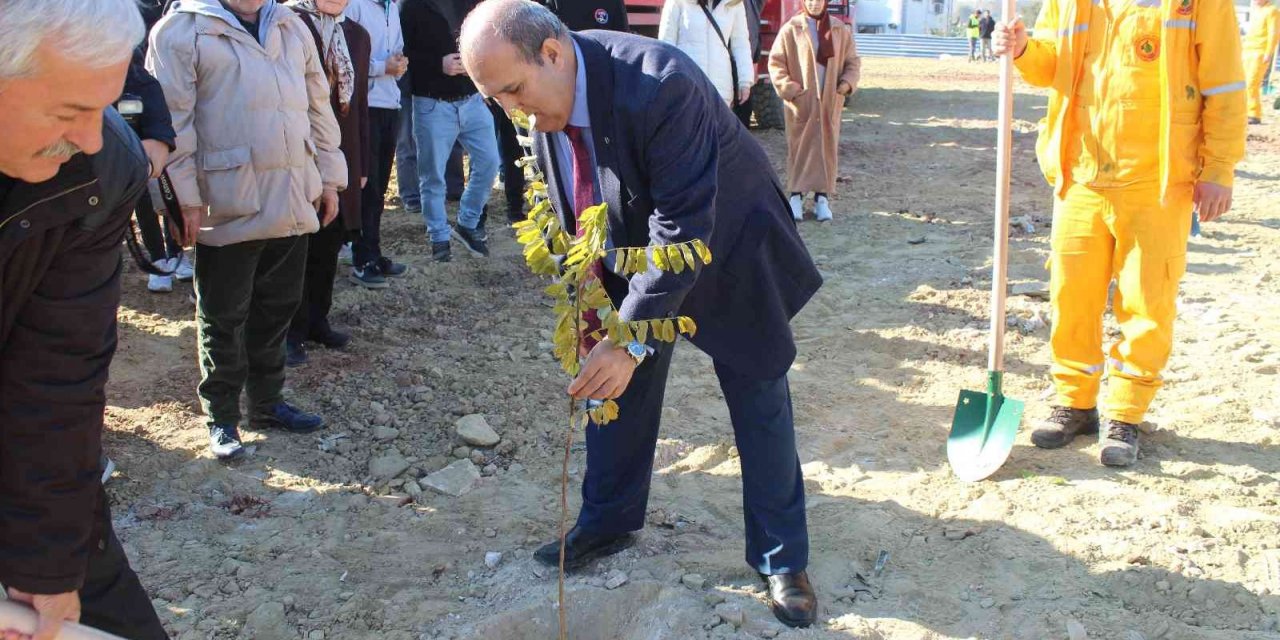 Osmaneli’nde 2 bin akasya fidanı toprakla buluştu