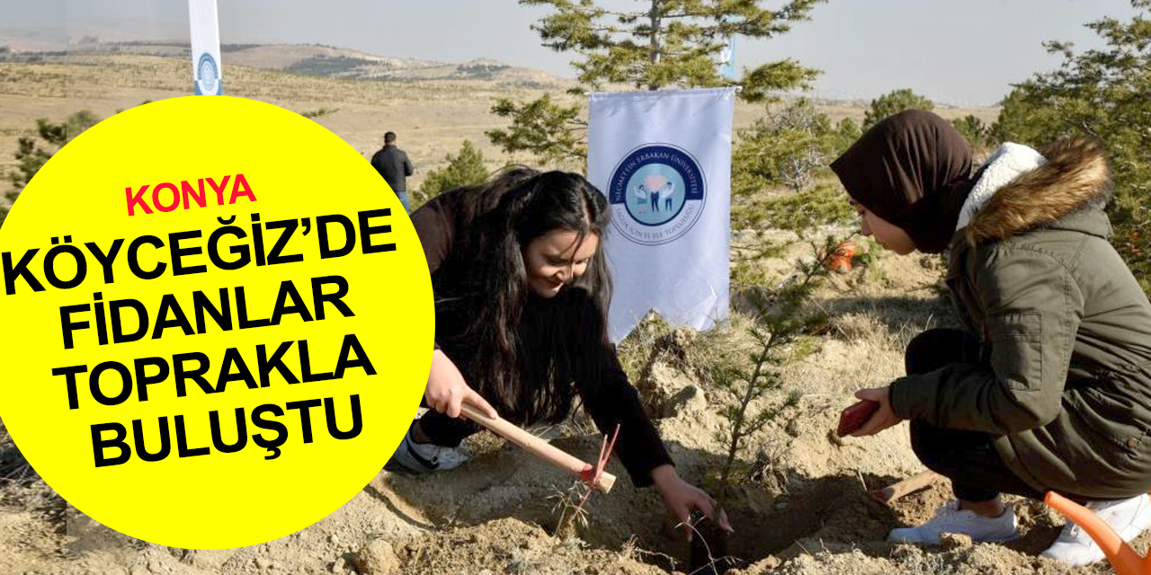 Konya'da 81 ille eş zamanlı etkinlik! NEÜ Köyceğiz Yerleşkesinde fidanlar toprakla buluştu