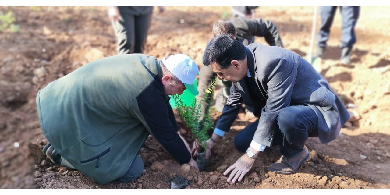Köyceğiz’de Milli Ağaçlandırma Günü nedeniyle fidan dikildi
