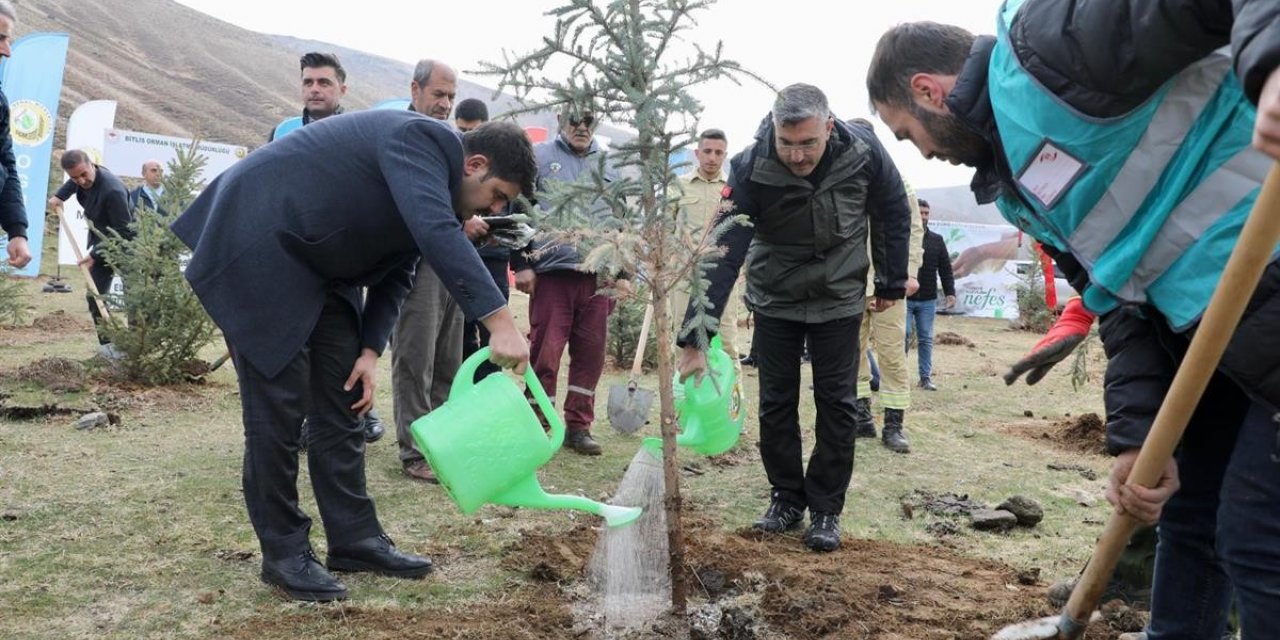 Bitlis’te 3 bin fidan dikildi