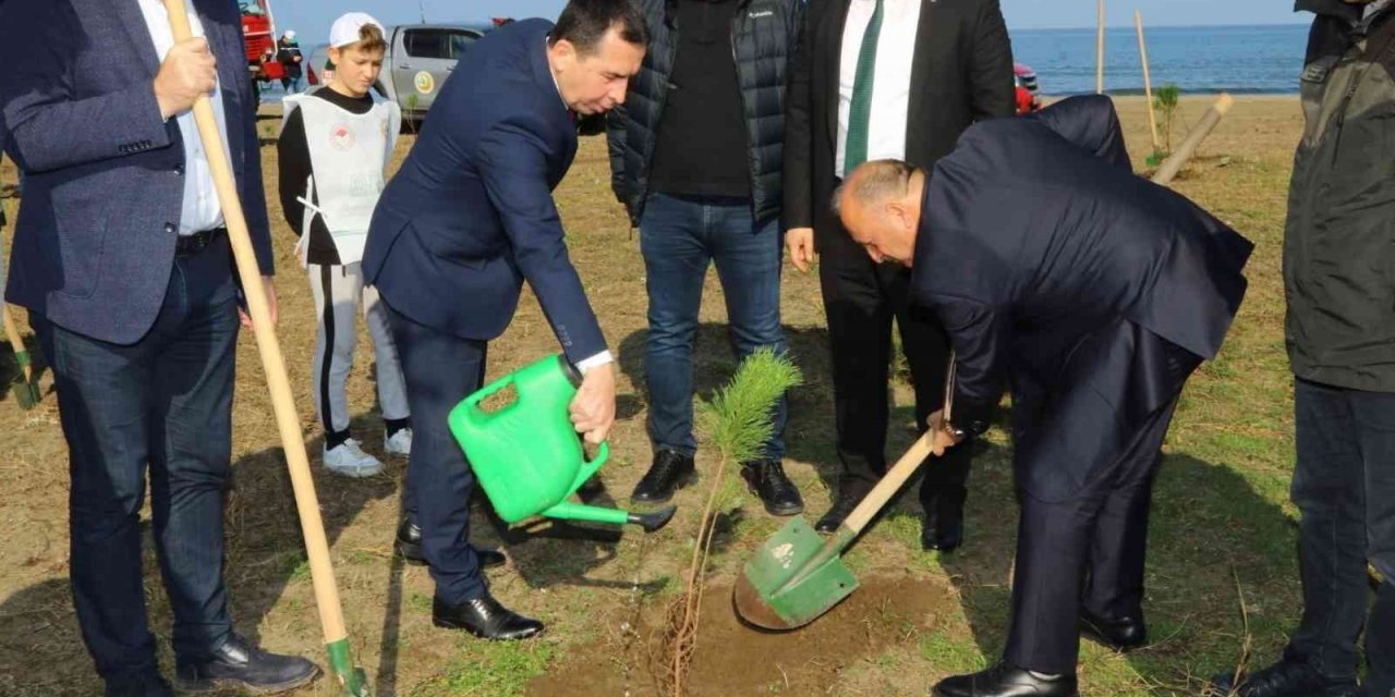 300 fıstık çamı toprakla buluştu