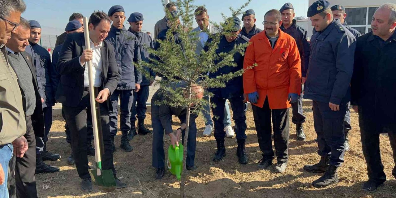 Bolvadin’de 600 fidan toprakla buluştu