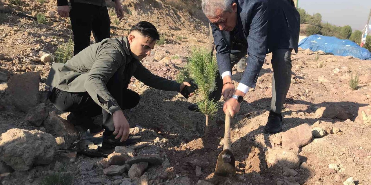 Gelecek için binlerce fidan diktiler