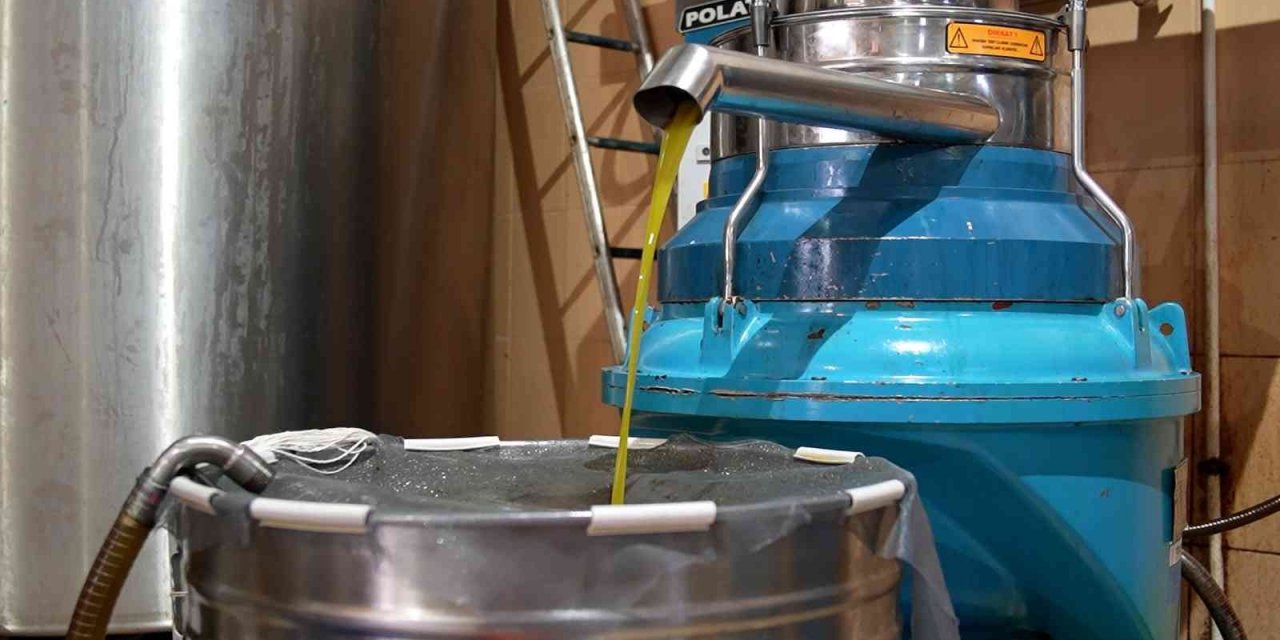 Tarsus Belediyesinden ucuz zeytinyağı