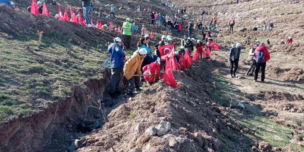 Yüzlerce fidan toprakla buluştu