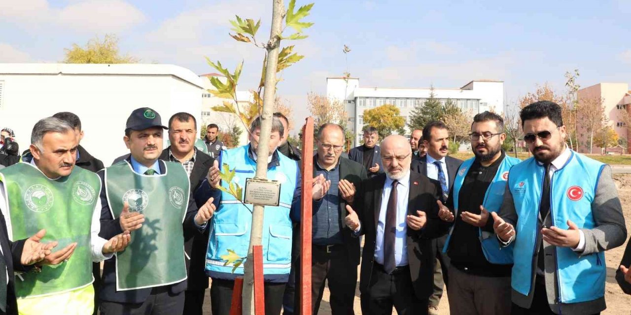 KAYÜ Develi Seyrani Kampüsünde Ağaçlandırma Çalışması Yapıldı
