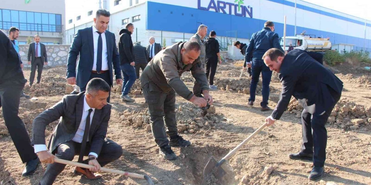 Sungurlu’da 800 fidan toprakla buluştu