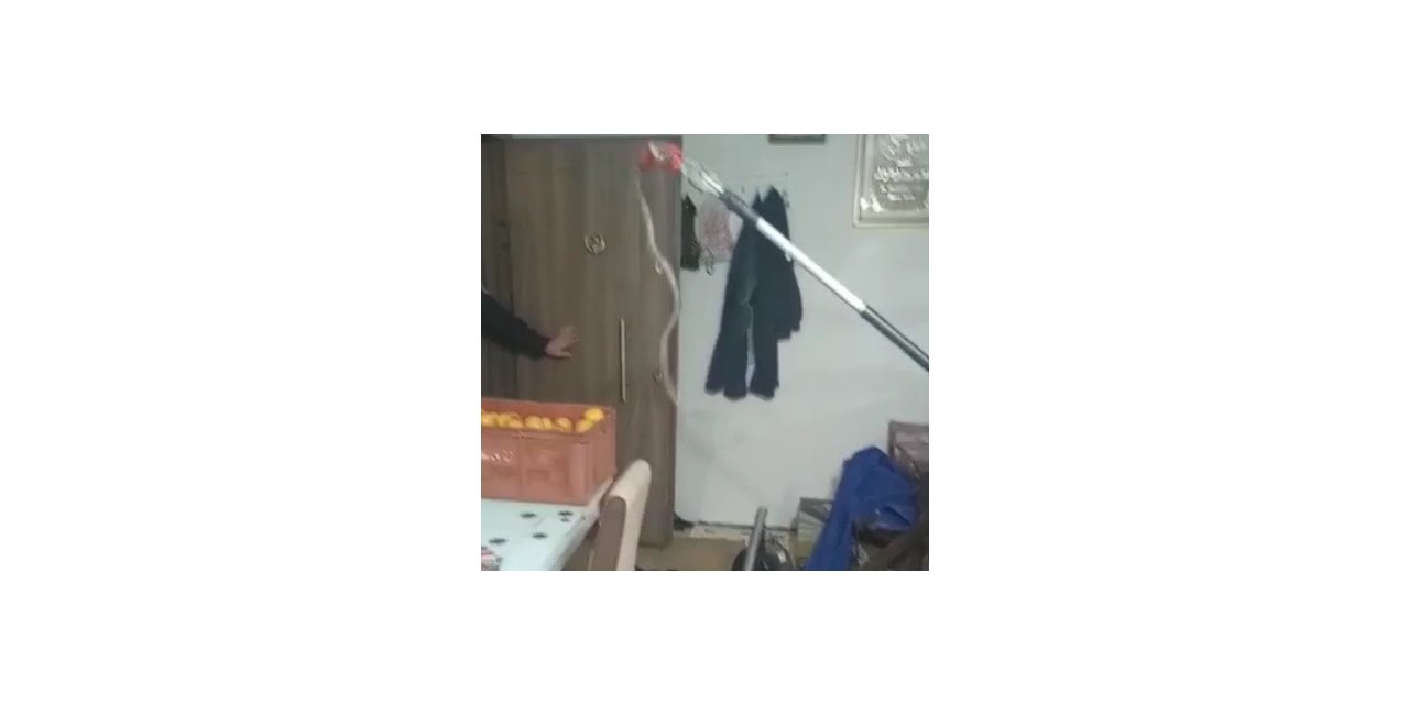 Elazığ’da eve giren 1 metrelik yılan paniğe neden oldu, ailenin yardımına itfaiye ekipleri yetişti