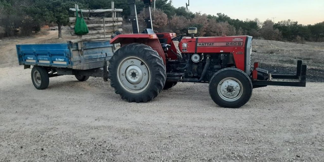 Ormanda kaçak odun kesen şahıs yakalandı