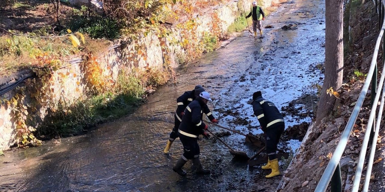 Dalakdere’de temizlik çalışması yapıldı