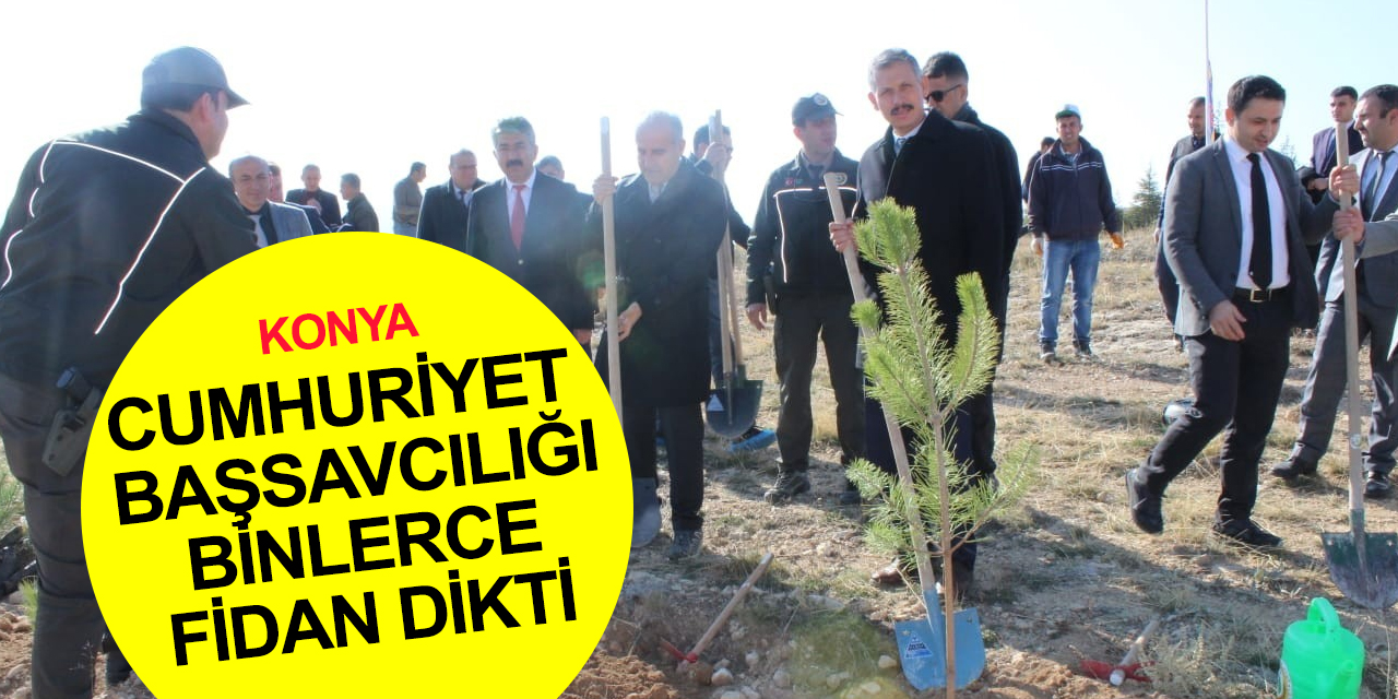 Konya Cumhuriyet Başsavcılığı Adalet Ormanı'nda 5 bin 605 adet fidan dikti