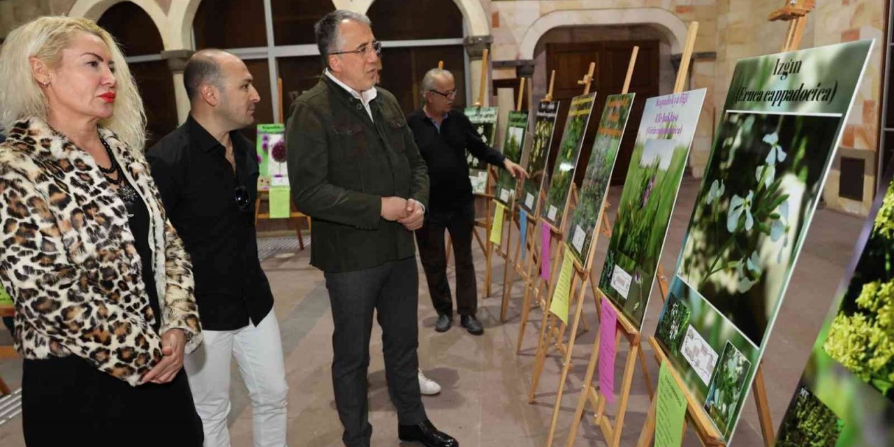‘Kapadokya bitkileri’ sergisi açıldı