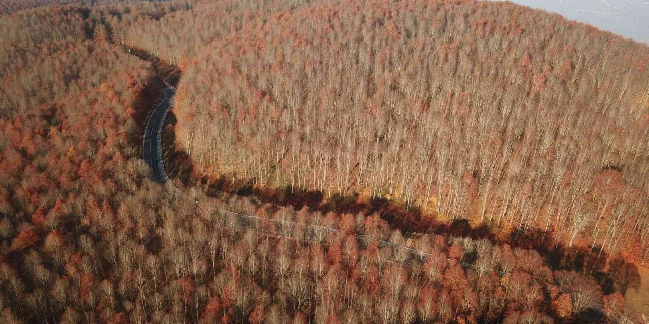 Perşembe Yaylası’nda sonbahar güzelliği