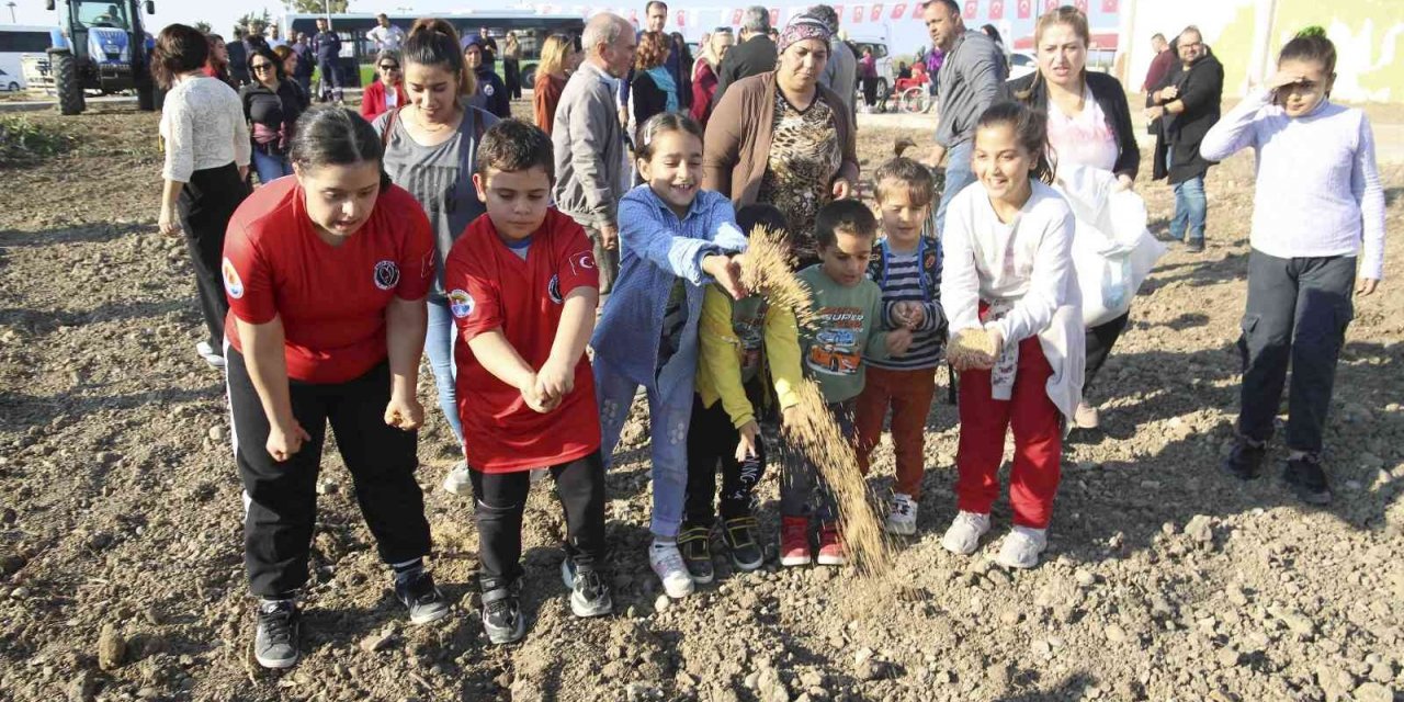 Buğday tohumları toprakla buluşturuldu