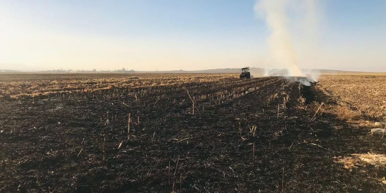 Mısır tarlasında anız yakan şahsa yasal işlem uygulandı