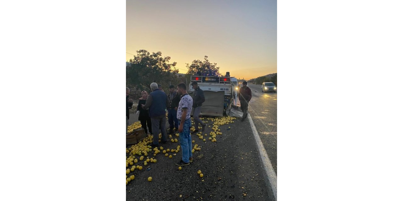Tekeri patlayan elma yüklü kamyonet devrildi
