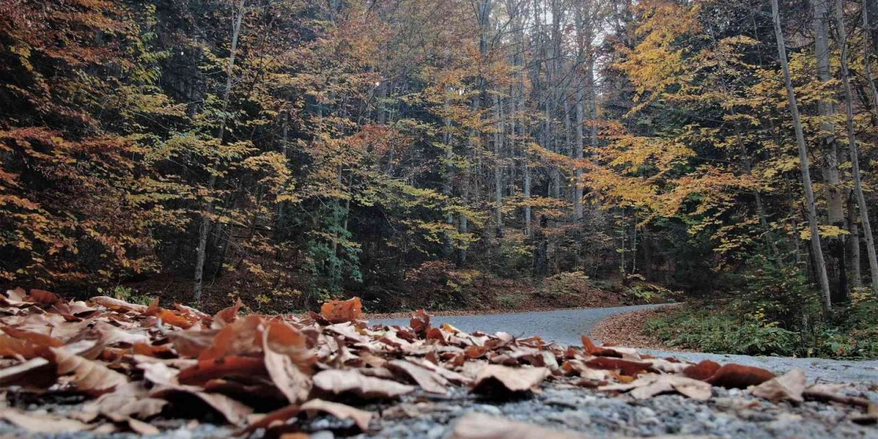 Yedigöller’de sonbahar kartpostallık görüntüler oluşturdu