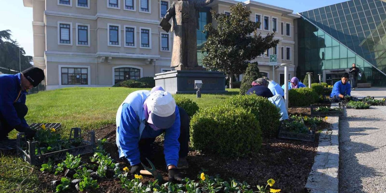 Osmangazi kış çiçekleri ile renklenecek