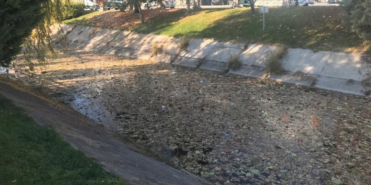 Dökülen yapraklar su yüzeyini kapladı