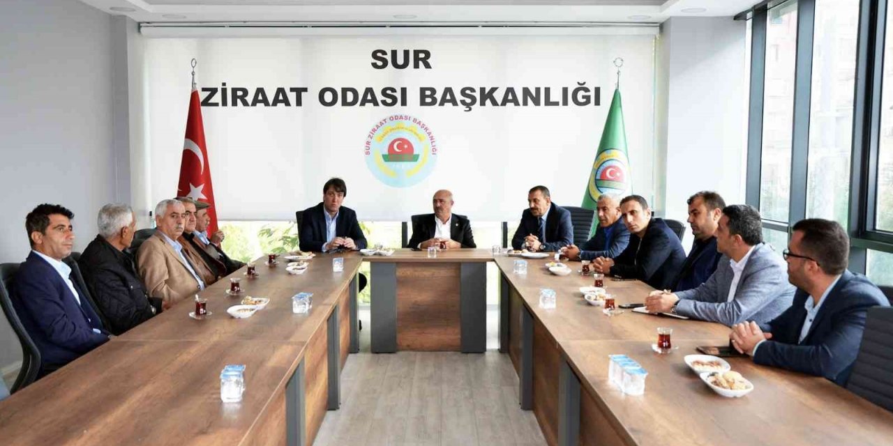 Diyarbakır’da sıfır faizli tarımsal elektrik kredisine çiftçiler toplu başvurdu