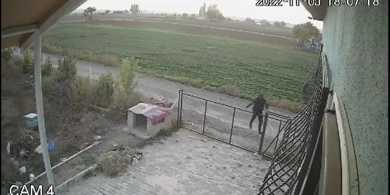 Bahçe kapısından atlayıp köpeği böyle çaldı