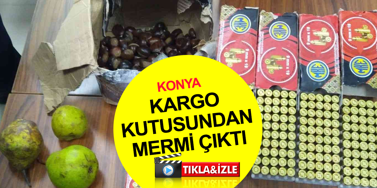 Konya'da kargo kutusundaki armut ve kestanelerin arasından 200 mermi çıktı! 1 gözaltı