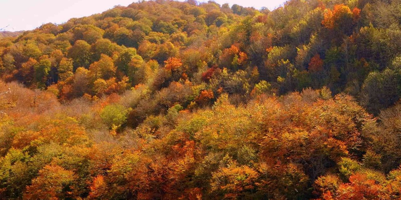 Dumanlı Yaylası’nın hayran bırakan sonbahar manzarası