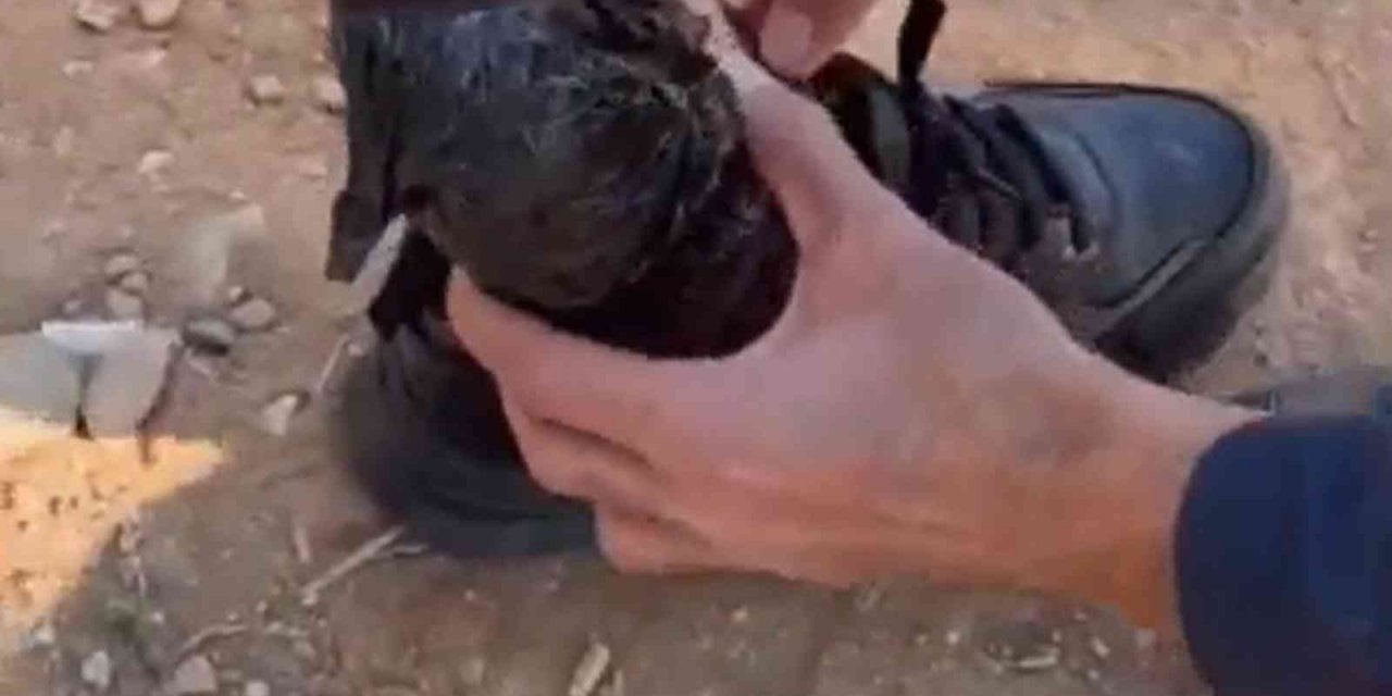 1,5 kilogram kubar esrarla yakalandı, çorabından bile çıktı