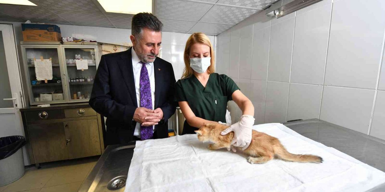 Bayraklı’da 5 ayda bin 250 sokak hayvanı tedavi edildi
