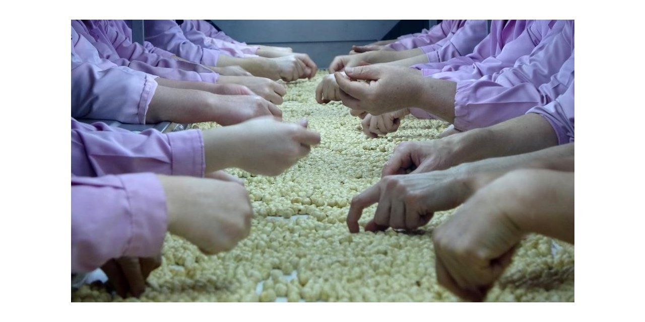 14 bin 325 ton 261 kilo fındık ihraç edildi