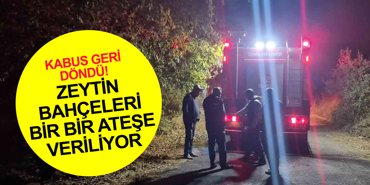 İzmir'de esrarengiz zeytin bahçesi yangınları yeniden başladı! Tire tekrar teyakkuzda