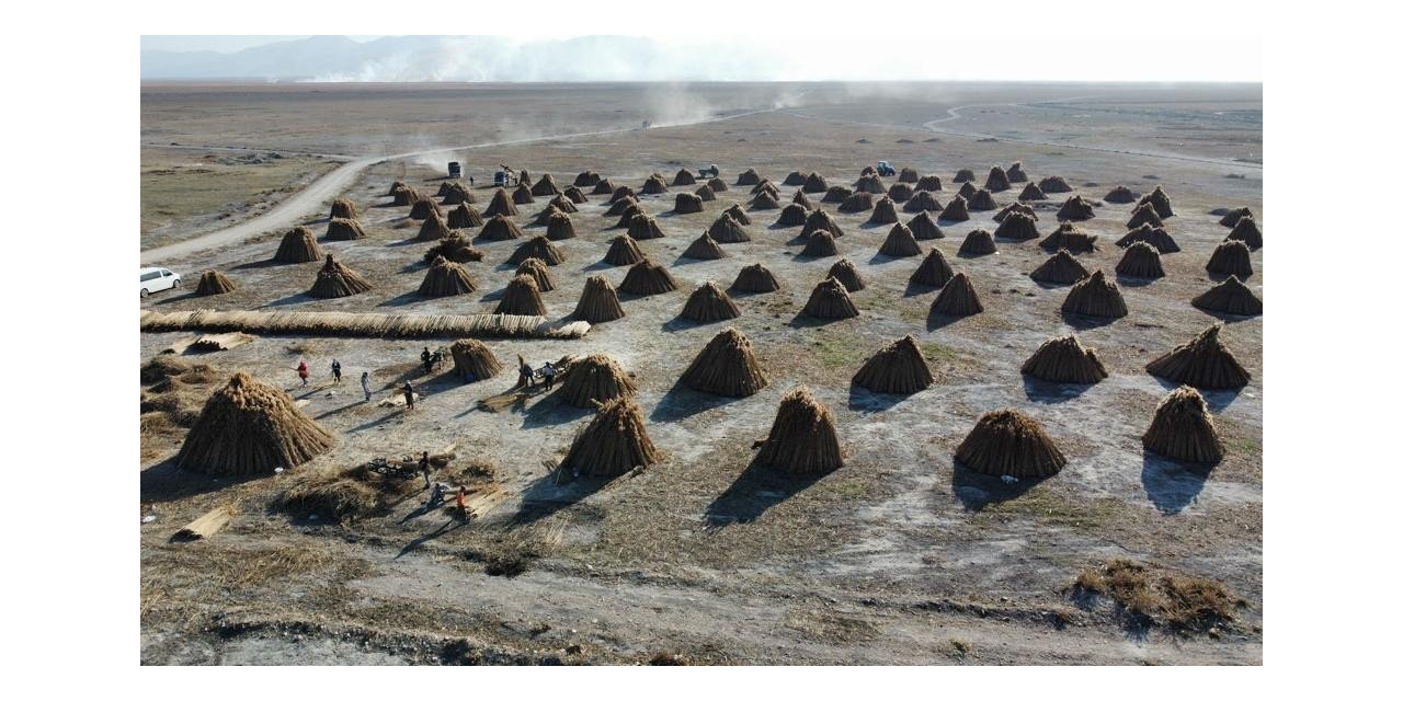 5 aylık kamış sezonunda 1 milyon dolarlık ihracat yapıyorlar