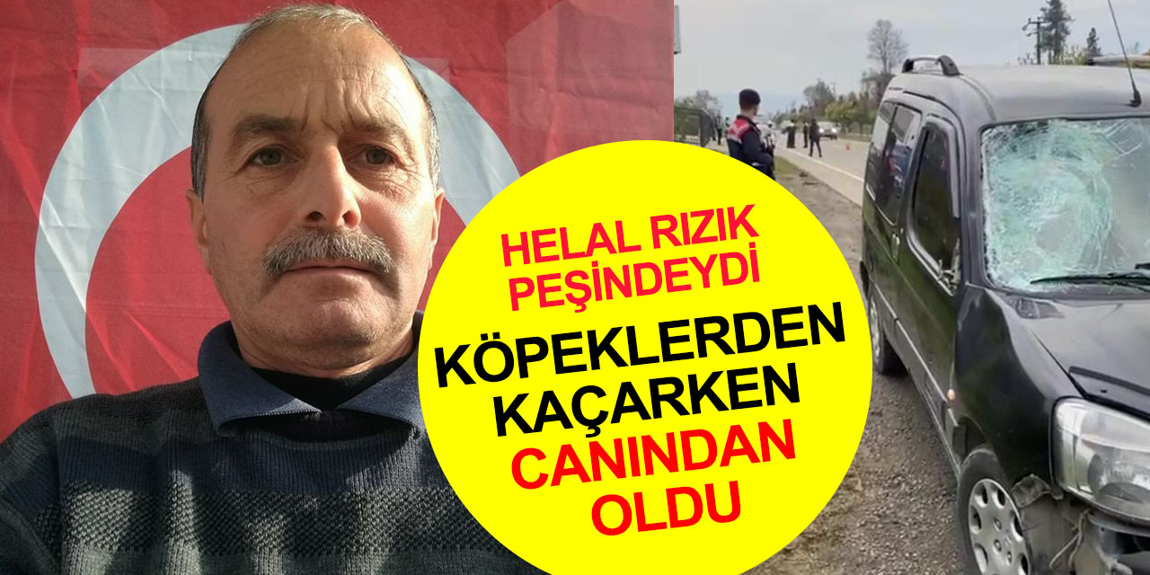 Başıboş köpek terörü bir can daha aldı! Temizlik işçisi Metin Tirkil köpeklerden kaçarken hayatını kaybetti