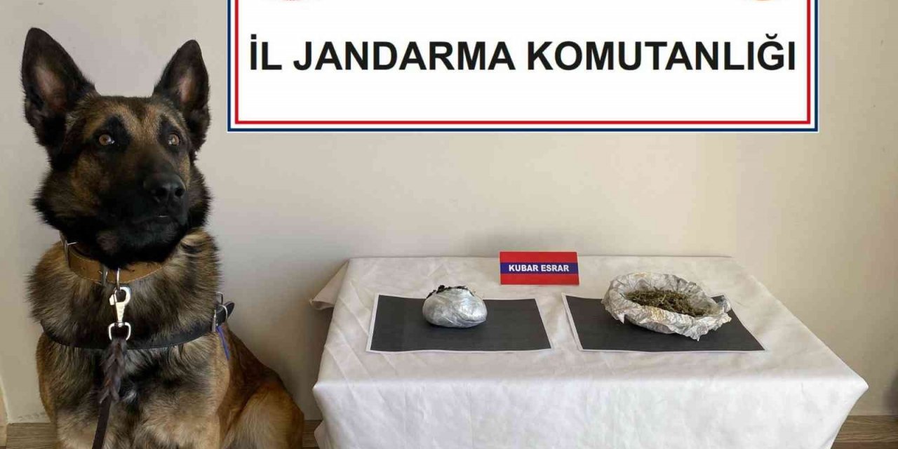 Uyuşturucu taşıyan yolcuları dedektör köpek yakaladı