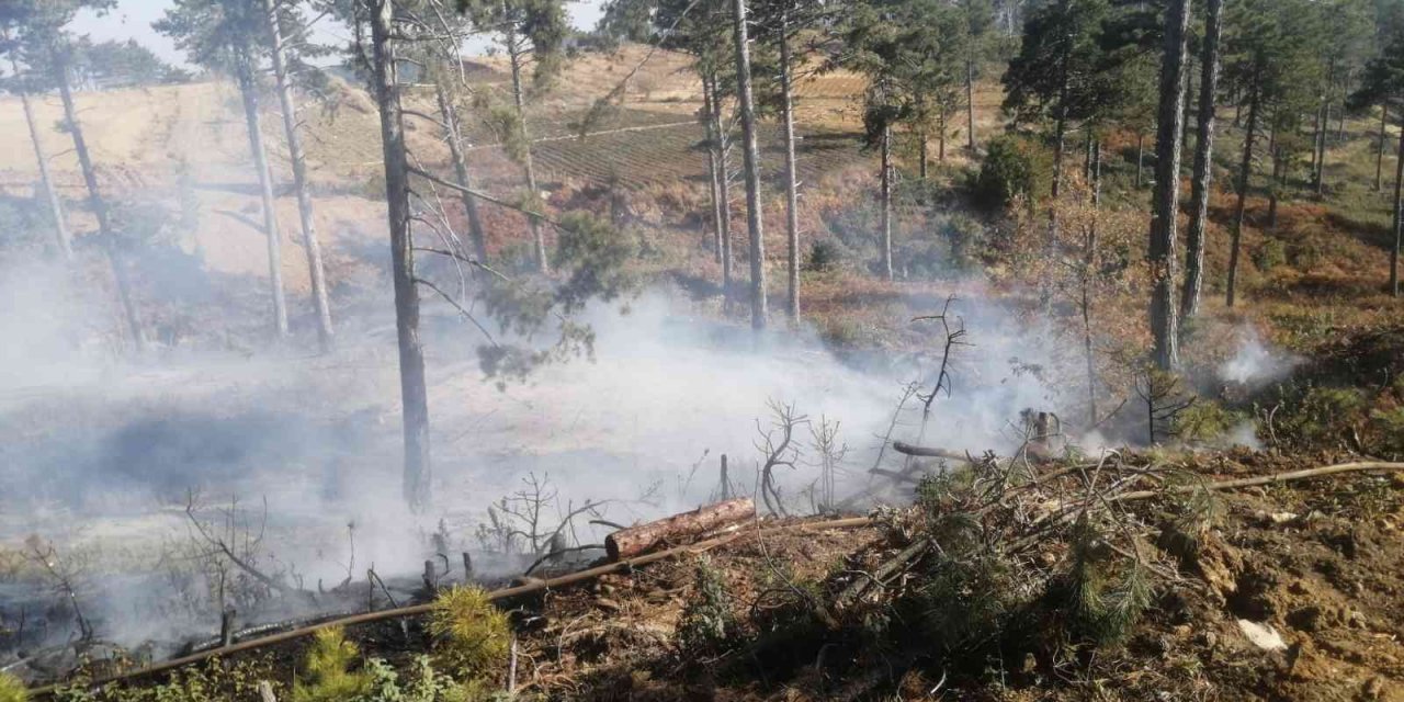 Sonbaharda çıkan orman yangını büyümeden söndürüldü