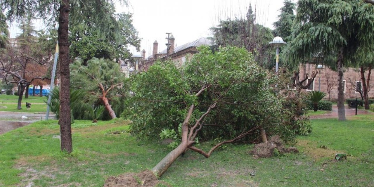 Manisa’ya fırtına uyarısı